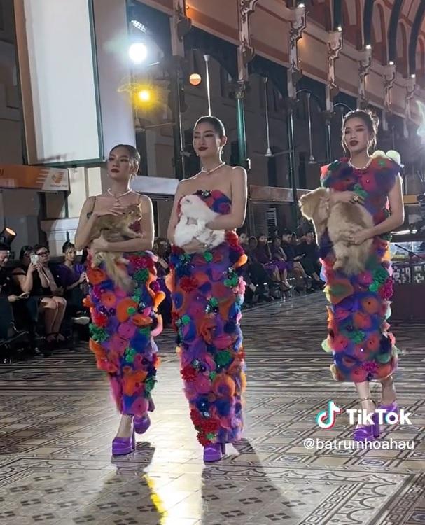 Đỗ Thị Hà bị mèo cào trên sàn diễn, mặt sượng sùng-1