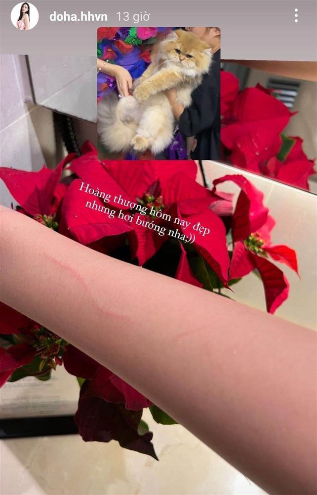 Đỗ Thị Hà bị mèo cào trên sàn diễn, mặt sượng sùng-4