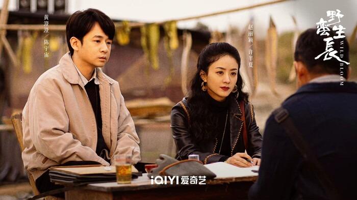 Phim của Triệu Lệ Dĩnh bị chấm 1 sao vì nữ chính xuất hiện quá nhiều-2