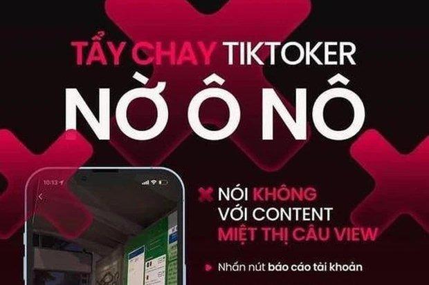 Trò bẩn để nổi tiếng sau một đêm của TikToker Việt-2
