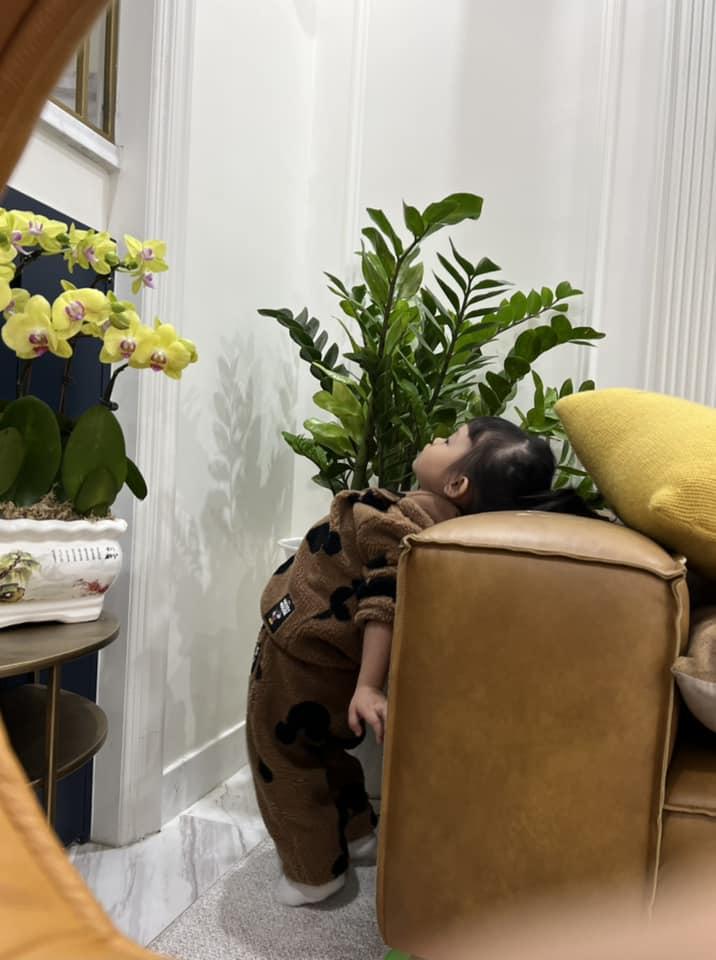 Hé lộ cơ ngơi chuẩn giàu của nhà đẻ Đàm Thu Trang-8