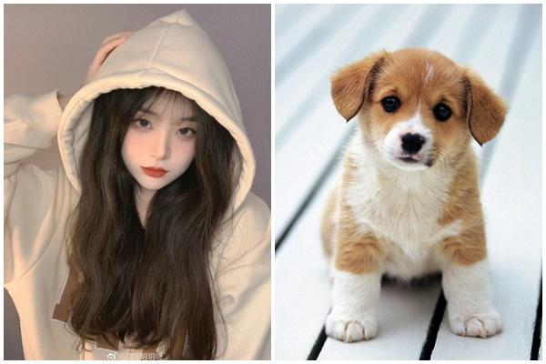 Cờ đến ai người ấy phất, 3 tuổi giàu khủng, 1 tuổi kiết xác 5 ngày tới-5