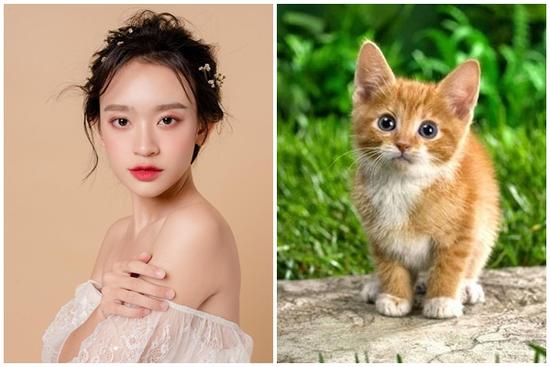 Tử vi hàng ngày 12 con giáp thứ Ba 6/12/2022: Vô tình mà thành duyên