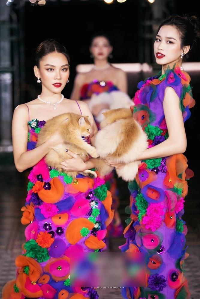 Mai Phương bị nghi khai gian chiều cao khi đứng cùng Đỗ Thị Hà-1