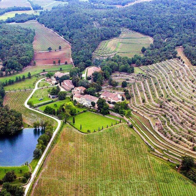 Angelina Jolie chỉ trích Brad Pitt-3