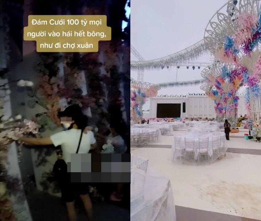 Đám cưới trăm tỷ kết thúc, người dân đổ xô ngắt hoa mang về-6