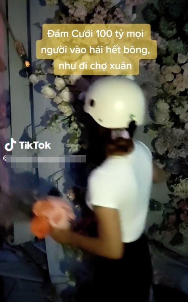 Đám cưới trăm tỷ kết thúc, người dân đổ xô ngắt hoa mang về-7