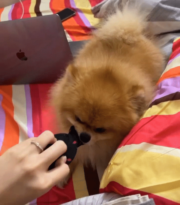 Dâu hào môn Đỗ Mỹ Linh để lộ nhẫn cưới giản dị bất ngờ-2