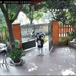 Trèo cổng suýt rách áo để tặng quà bạn gái, vừa xuống bị đuổi chạy thục mạng-3