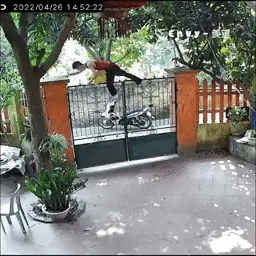 Trèo cổng suýt rách áo để tặng quà bạn gái, vừa xuống bị đuổi chạy thục mạng-1