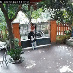 Trèo cổng suýt rách áo để tặng quà bạn gái, vừa xuống bị đuổi chạy thục mạng-2