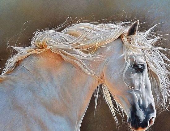 Nam La Hầu, nữ Kế Đô: 4 tuổi tay trắng lại trắng tay năm 2023-3