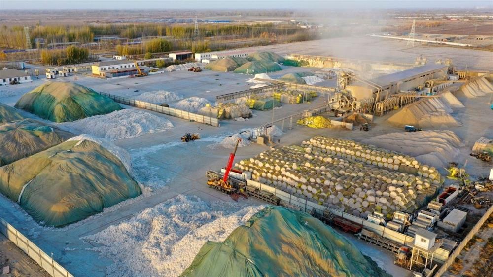 Đồng bông gòn 110.000 ha trắng như tuyết ở Tân Cương-6