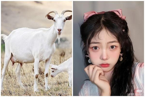 Ngày 11/12 trăm sự bất thành, 3 tuổi nợ như chúa chổm-4