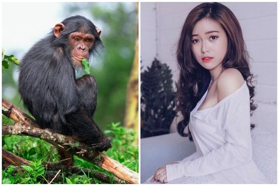 Tử vi hàng ngày 12 con giáp thứ Sáu 9/12/2022: Buôn ngược bán xuôi