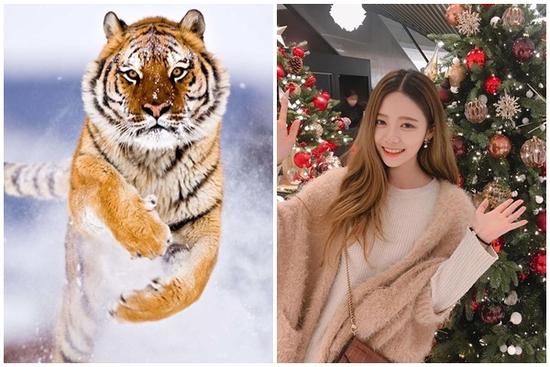 Ngày 9/12 'Nguyệt Lão kết chỉ se duyên', 3 tuổi hạnh phúc muôn phần