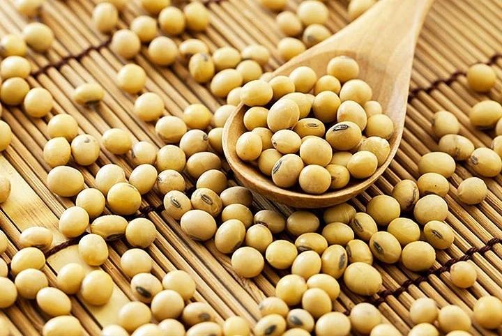 Cây kim tiền thích ăn 3 thứ, cứ vùi vào chậu là chồi đua nhau mọc-2