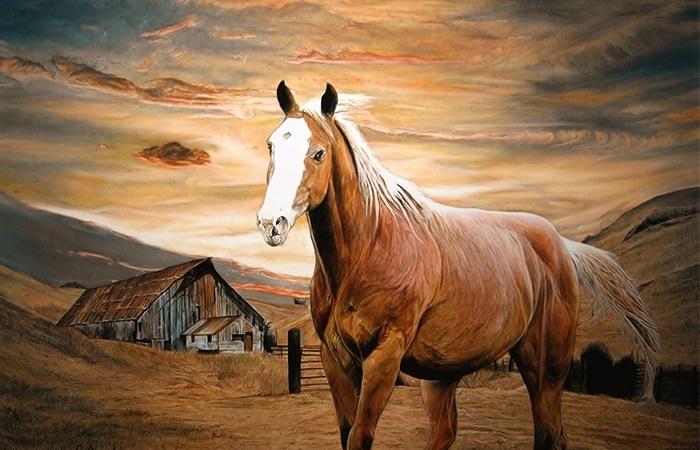 Cuối tuần 10 - 11/12: Điểm mặt 4 tuổi không tỷ phú cũng đại gia-3