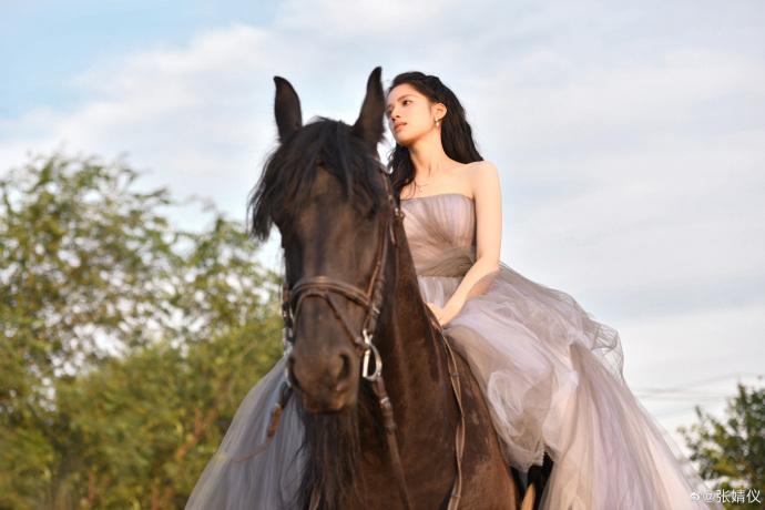 Trương Tịnh Nghi hết lời khen ngợi Trần Phi Vũ-1