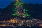 Cây thông Noel lớn nhất thế giới được thắp sáng