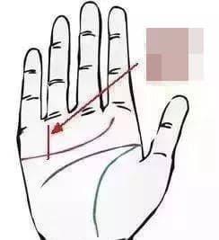 Đường chỉ tay phát tài phát lộc có số mệnh giàu sang, quyền quý cả đời-1