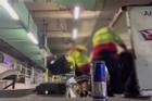 Nhân viên hành lý sân bay Australia bị sa thải vì ném đồ