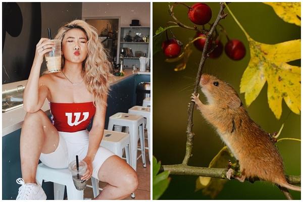 Tuần mới (12/11-18/12) 3 tuổi tay trái hốt vàng, tay phải hốt bạc-4