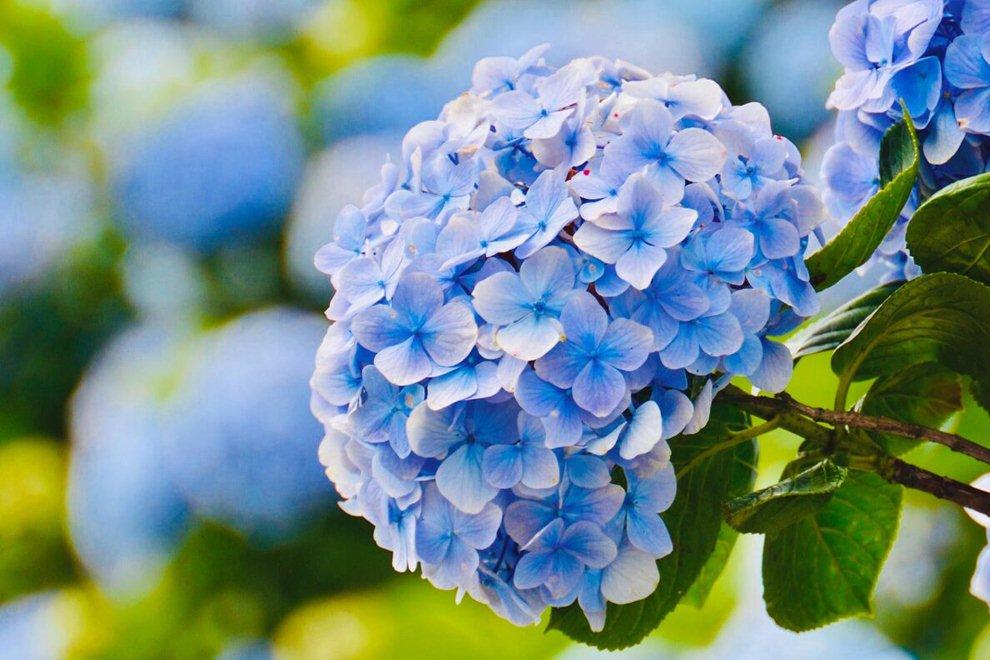 Sinh tháng Âm lịch này không bon chen, sống an nhàn-4