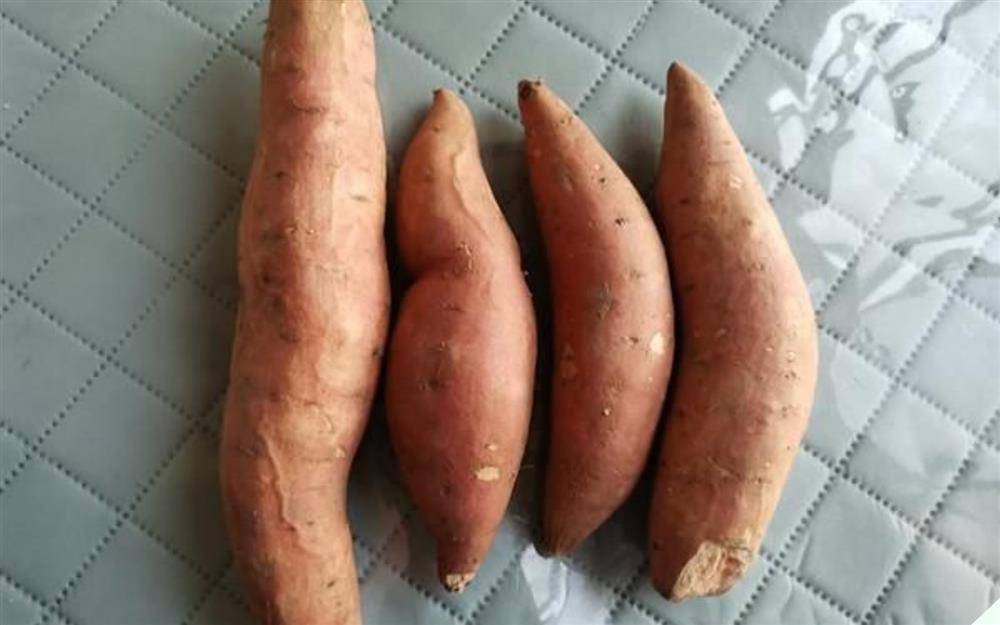 Loại củ trường thọ của người Nhật, nước ta bán la liệt ngoài chợ-3
