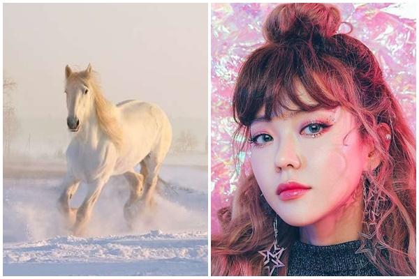 Trời sinh 3 cặp đôi hễ kết hợp là hái ra tiền trong năm 2023-4