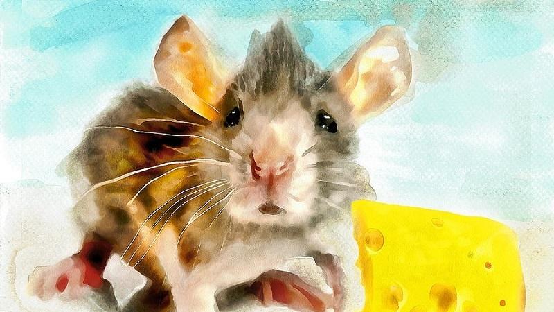 Tử vi hàng ngày 12 con giáp thứ Tư 14/12/2022: Già néo đứt dây-1