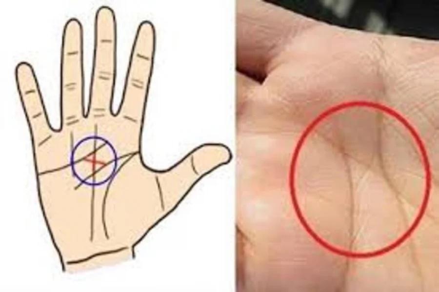 5 đặc điểm trên tay phụ nữ số mệnh tỷ phú, lắm tiền nhiều của-1