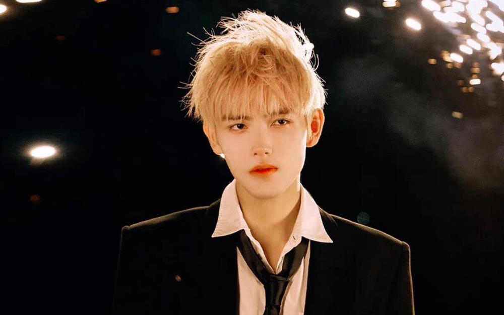 Trần Phi Vũ từ chối Chiếu Sáng Anh, Sưởi Ấm Em bản điện ảnh-4