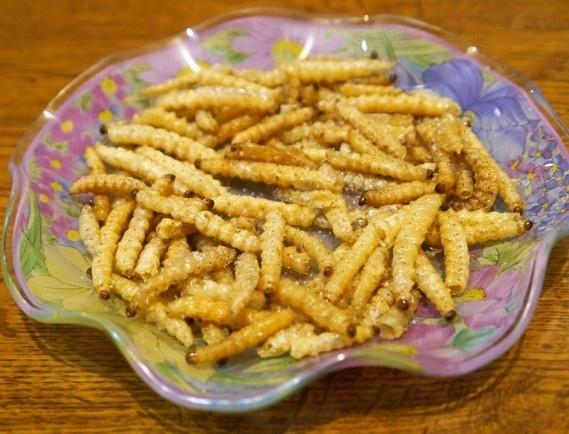 9 truyền thống Giáng sinh kỳ lạ nhất thế giới-2