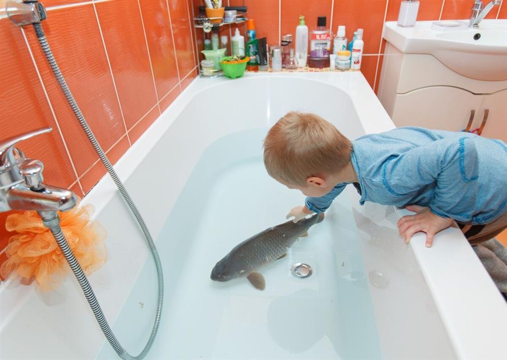 9 truyền thống Giáng sinh kỳ lạ nhất thế giới-7