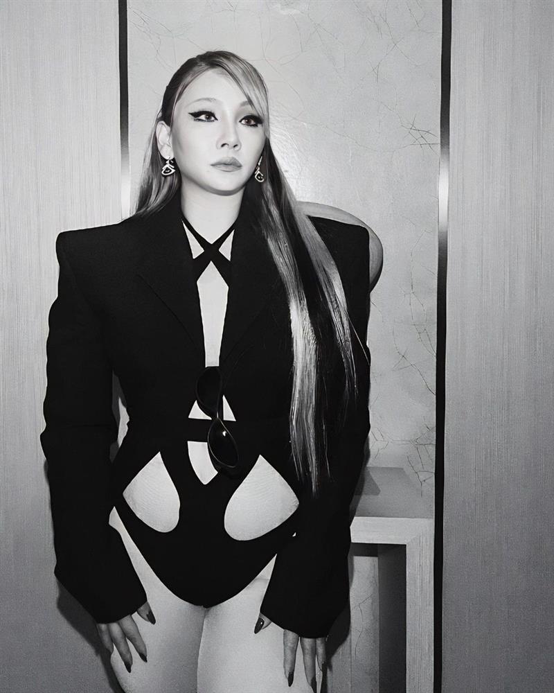 CL mặc đồ cắt xẻ táo bạo-2