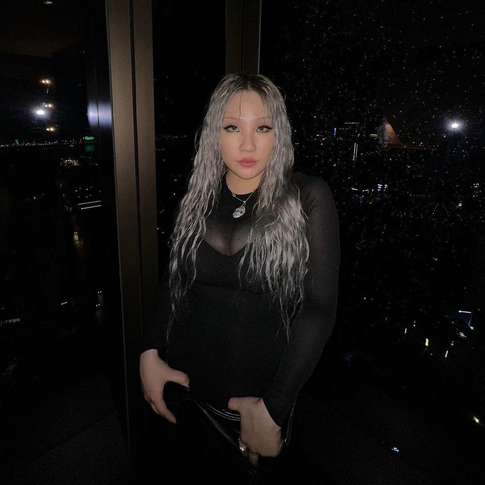 CL mặc đồ cắt xẻ táo bạo-4