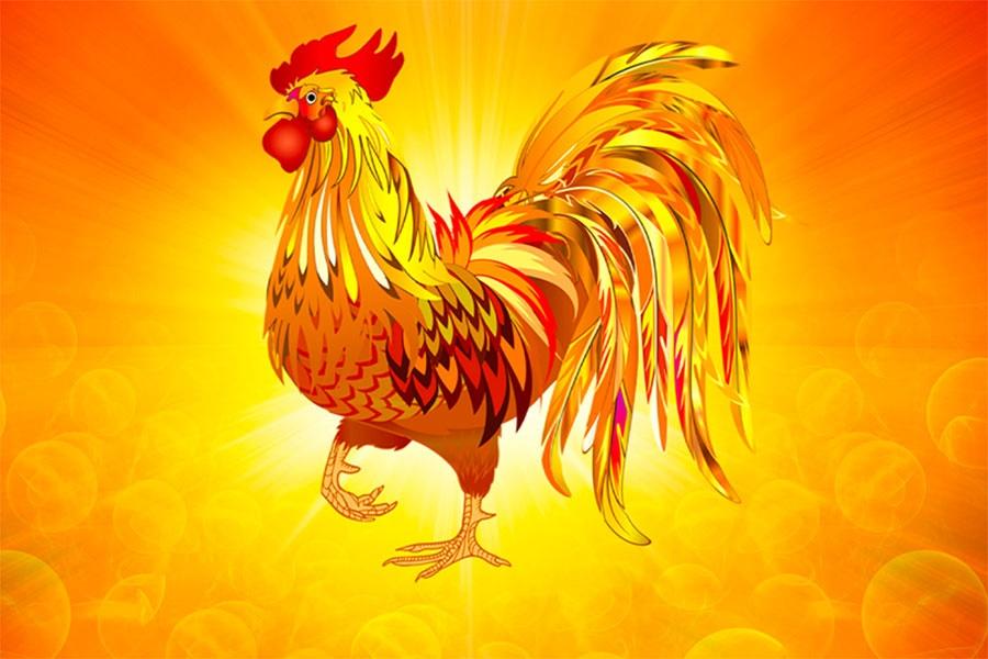 Ngày 15/12: 3 tuổi trời cho quả đậm, đếm tiền mỏi tay-3