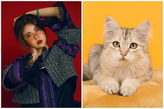 Ngày 15/12: 3 tuổi trời cho quả đậm, đếm tiền mỏi tay