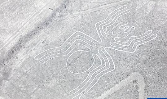 Bí ẩn hơn 160 hình vẽ giữa sa mạc Peru-2