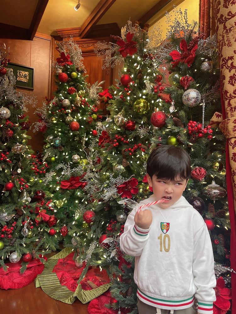Biểu cảm trái ngược của các nhóc tỳ nhà sao Việt khi đón Noel-8