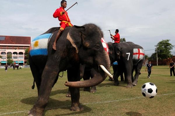 Khám phá công viên robot ở Thái Lan-1