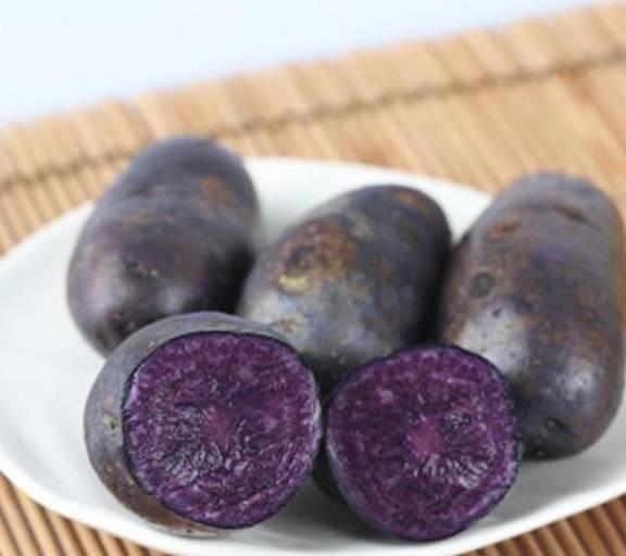 Loại củ quen thuộc có dinh dưỡng bằng 20 quả táo, 50 quả cà chua-1