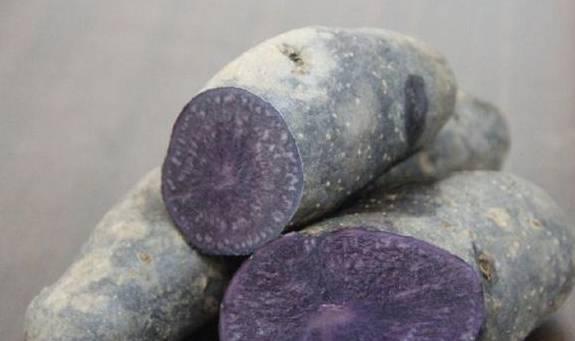 Loại củ quen thuộc có dinh dưỡng bằng 20 quả táo, 50 quả cà chua-2