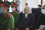 Ông Lê Tùng Vân xin hoãn đi tù vì tuổi già, sức yếu-3