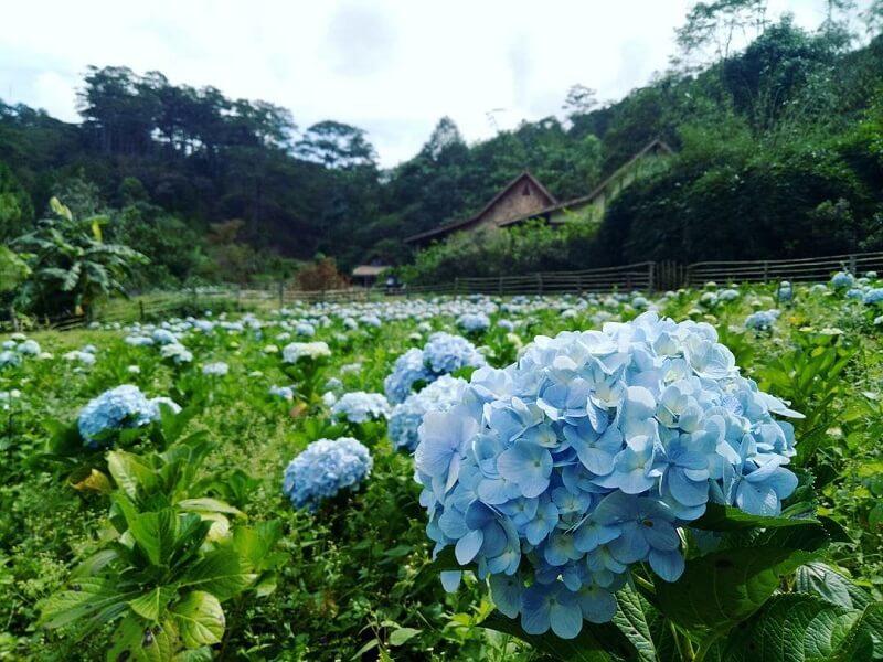 Người sinh giờ này tính cách trung thực, sau tuổi 35 trở nên giàu có-3