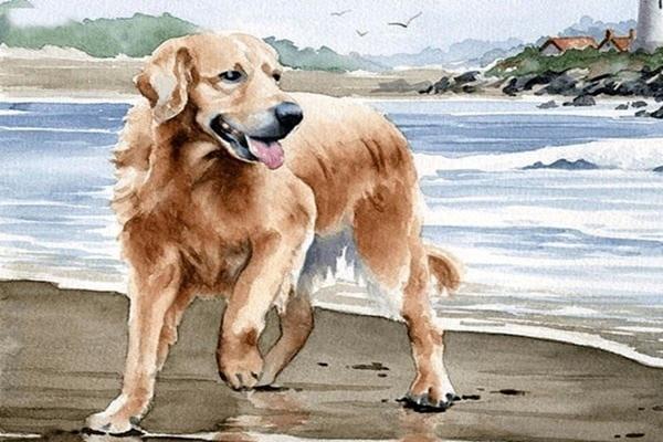 30 chưa phải Tết: 3 con giáp đen trước đỏ sau lội dòng ngoạn mục-4