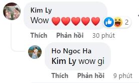 Tin showbiz Việt ngày 17/12: Kim Lý khiến Hồ Ngọc Hà hoang mang-2