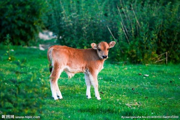 Ba con giáp sự nghiệp vượng nhất năm 2023, làm đâu cũng phất-5