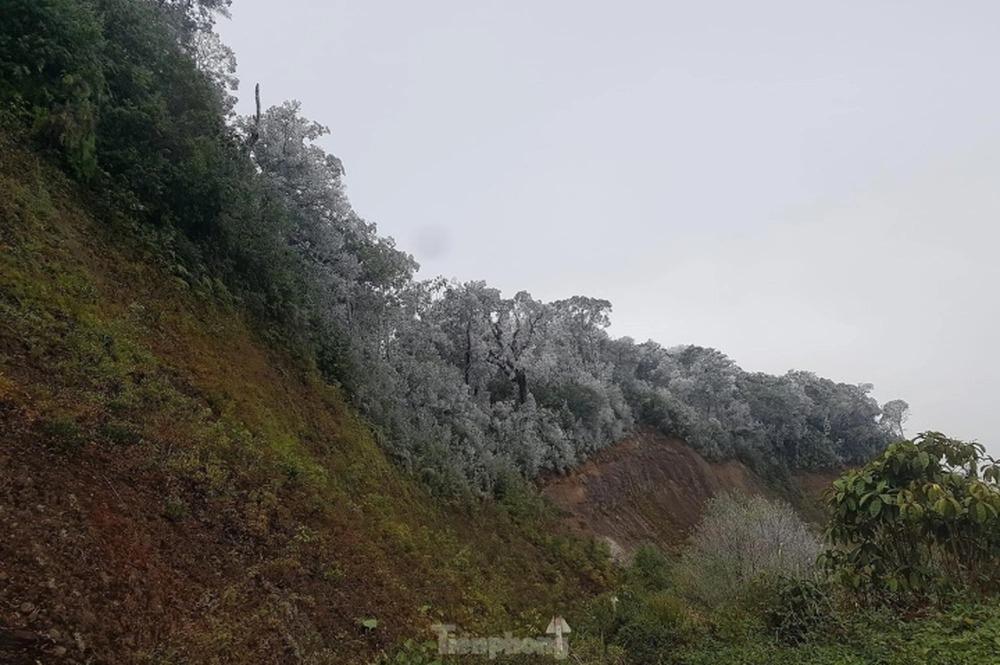 Nghệ An: Ngắm băng tuyết phủ trắng đỉnh núi trong giá lạnh -3 độ-1